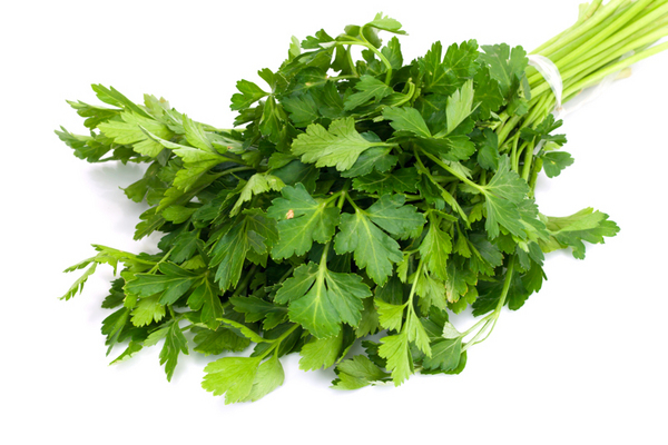 Produce - Herbs - Cilantro